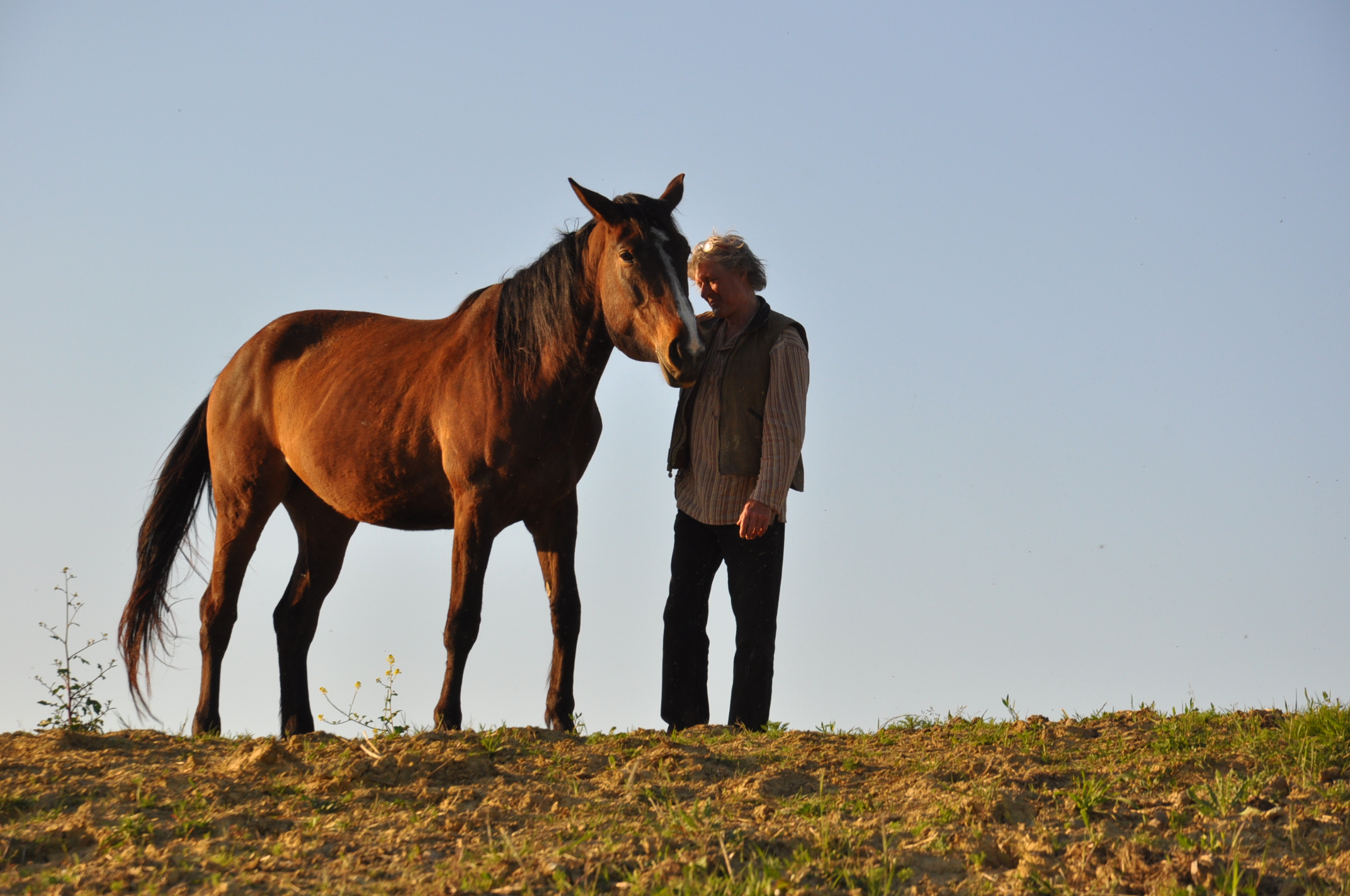 cheval rencontre equitation